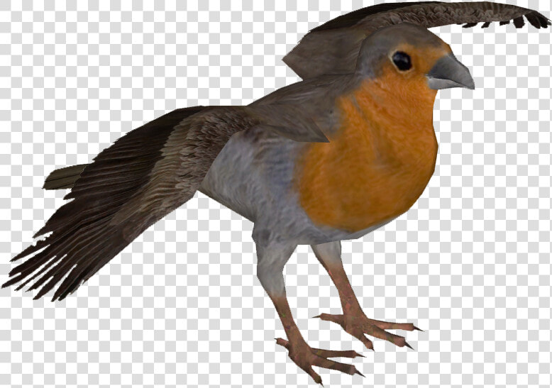 European Robin Png Pic   Old World Flycatcher  Transparent PngTransparent PNG