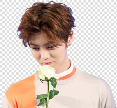 Luhan Exo  HD Png DownloadTransparent PNG