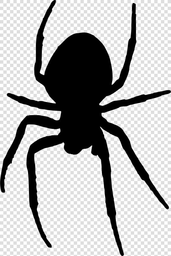 Transparent Hanging Spider Png   Spider Silhouette  Png DownloadTransparent PNG