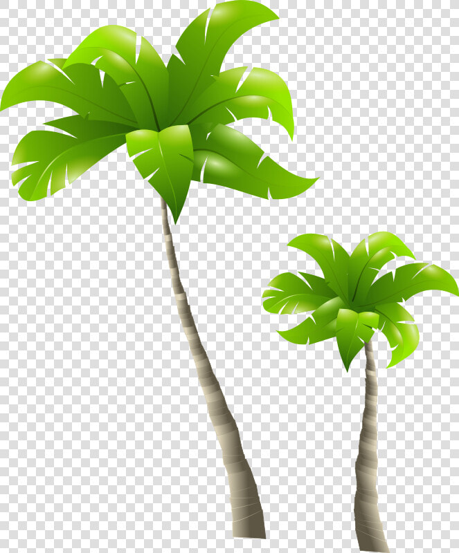 Tall Tree And Short Tree  HD Png DownloadTransparent PNG