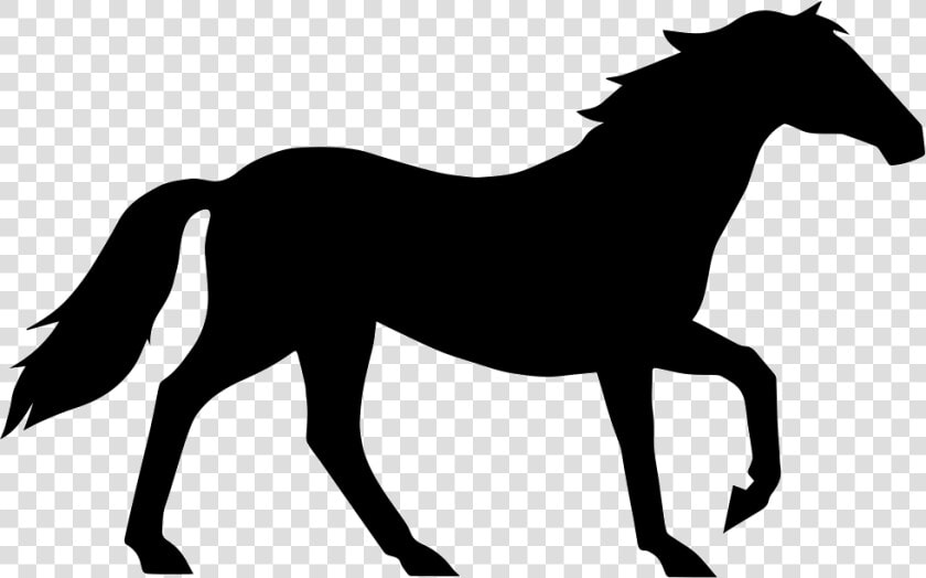 Transparent Horse Clipart Outline   Horse In Black And White  HD Png DownloadTransparent PNG