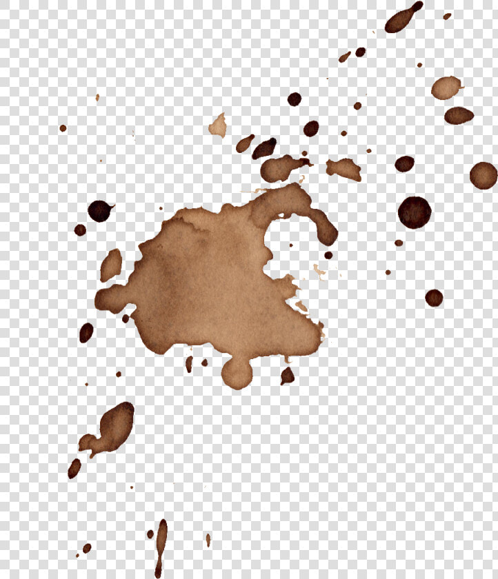 16 Coffee Stains Splatter Vol   Coffee Stains Png Transparent  Png DownloadTransparent PNG