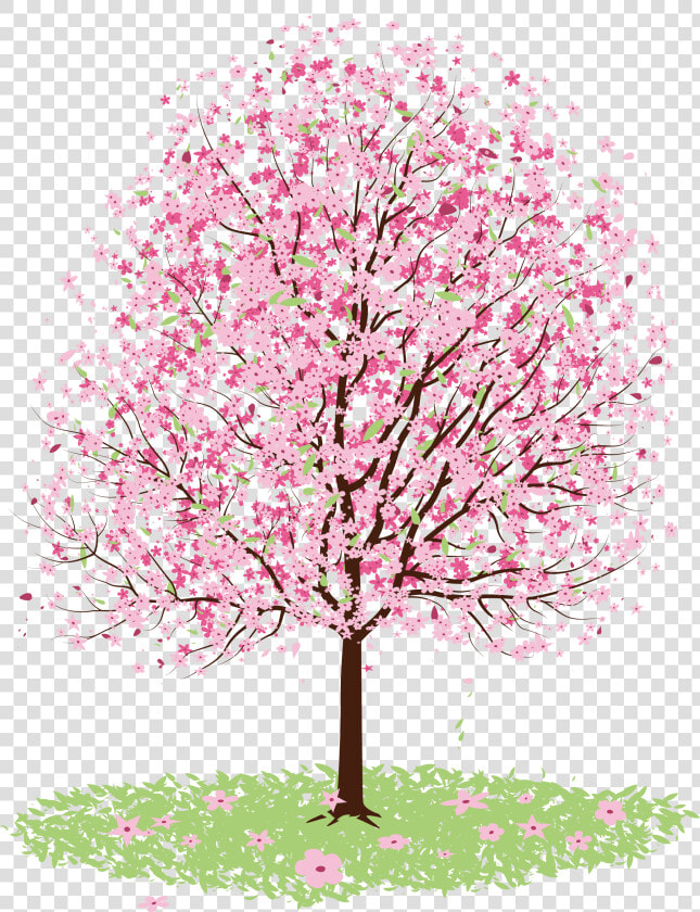 Cherry Blossom Drawing Tree   Vector Cherry Blossom Tree Png  Transparent PngTransparent PNG