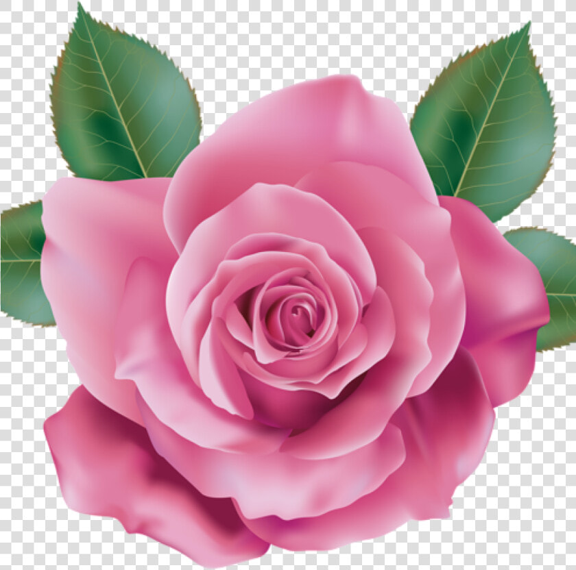 Pink Rose Clipart Rose Clipart Pink Rose Transparent   Rose Pink Flower Design  HD Png DownloadTransparent PNG