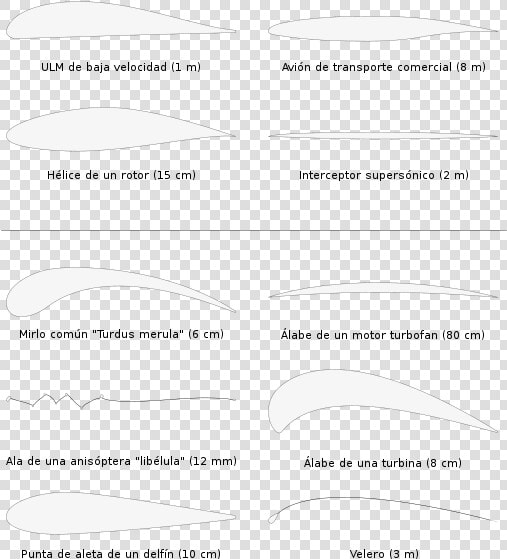 Tipos De Perfil Alar  HD Png DownloadTransparent PNG