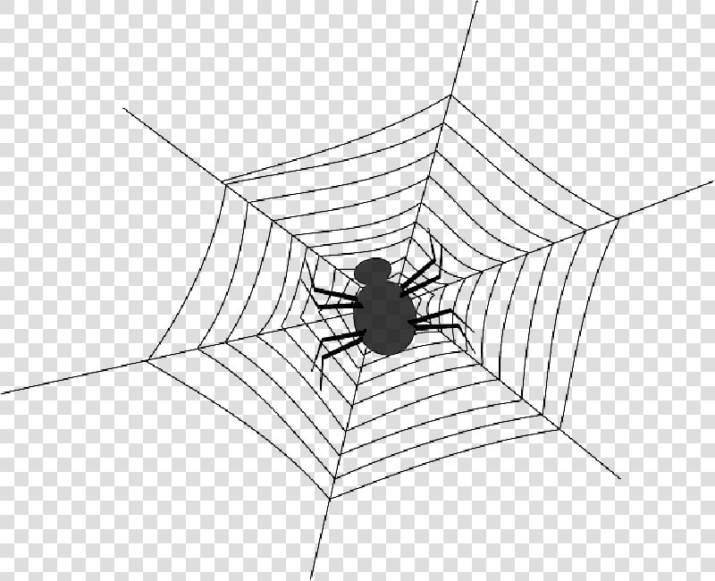 Cobweb  Spider  Spiderweb  Spider S Web  Web  Net   Spider Web With Spider Outlines Png  Transparent PngTransparent PNG