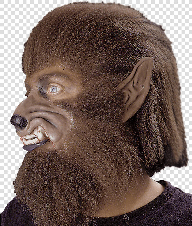 Werewolf Ears  HD Png DownloadTransparent PNG