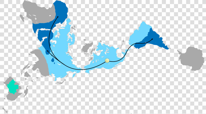 Global Camelid Distribution And Migration   High Resolution Dymaxion Map  HD Png DownloadTransparent PNG