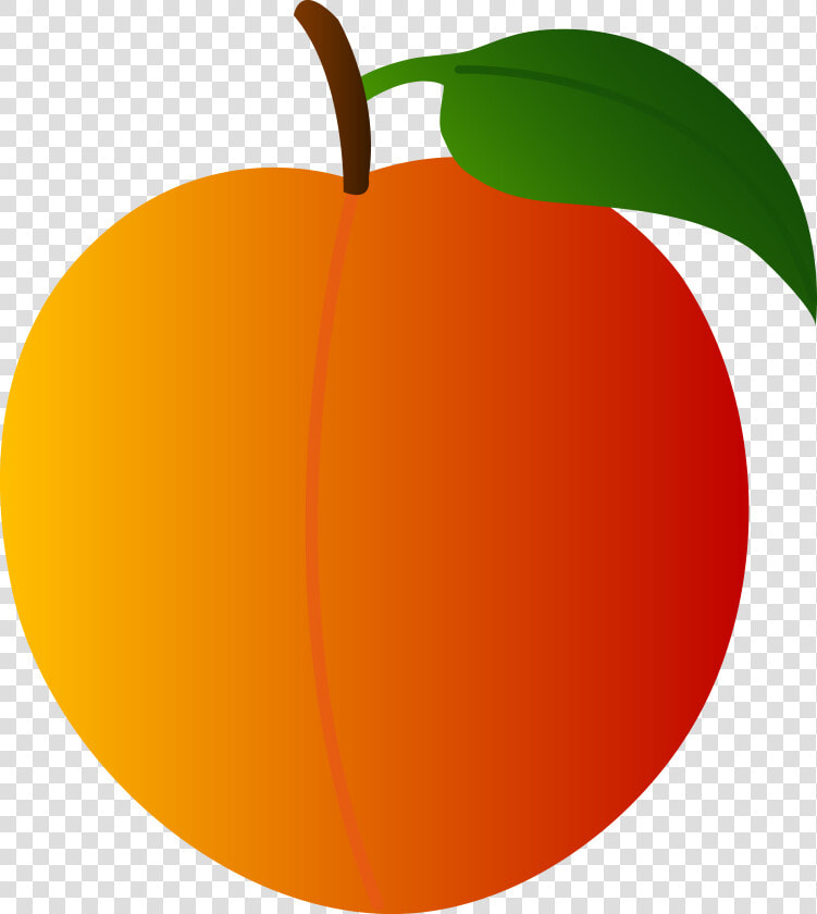 Vector Peach Free Download On Melbournechapter   Peach Clipart  HD Png DownloadTransparent PNG