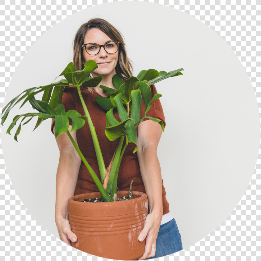 Plant Growing Png  Transparent PngTransparent PNG