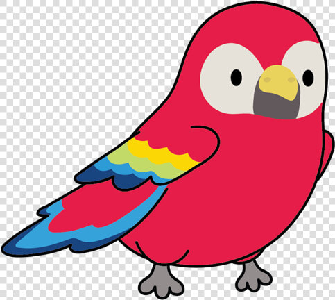 Sorry  Ikomo Coming Soon   Budgie  HD Png DownloadTransparent PNG