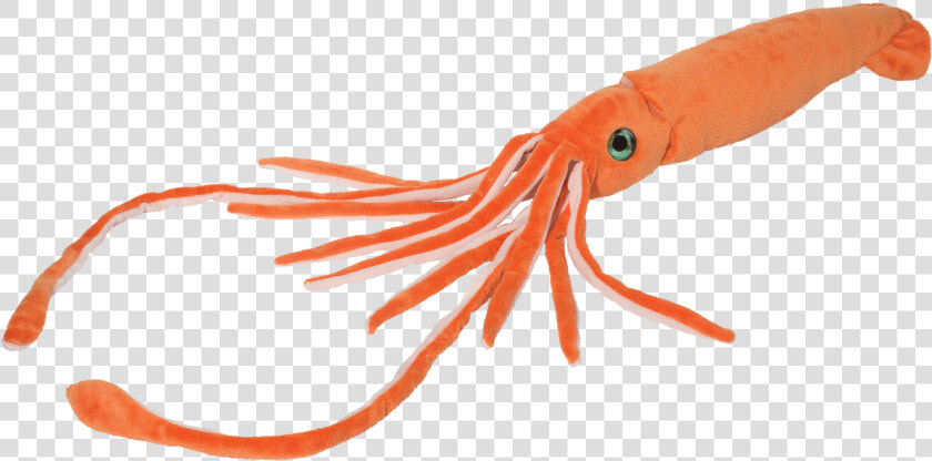 Douglas Jet Stream Squid   Squid Stuffed Animal  HD Png DownloadTransparent PNG