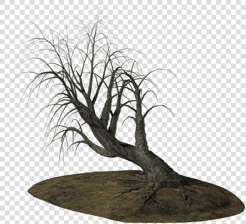 Alberi Morti Png  Transparent PngTransparent PNG