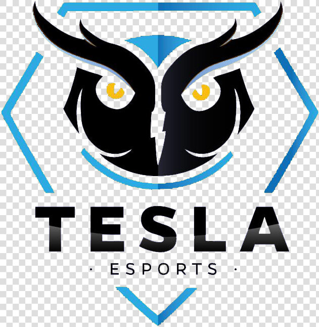 Tesla E sportslogo Square  HD Png DownloadTransparent PNG