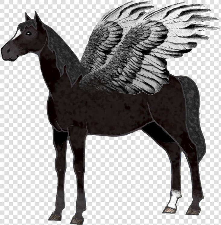 Stallion  HD Png DownloadTransparent PNG