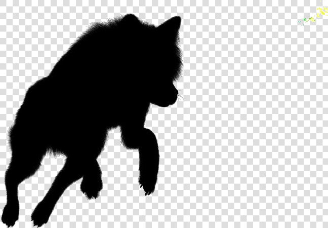 Jumping Wolf Png Drawing   Black Norwegian Elkhound  Transparent PngTransparent PNG