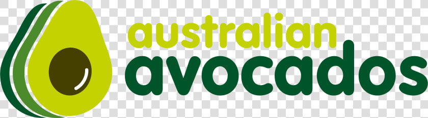 Australian Avocados  HD Png DownloadTransparent PNG