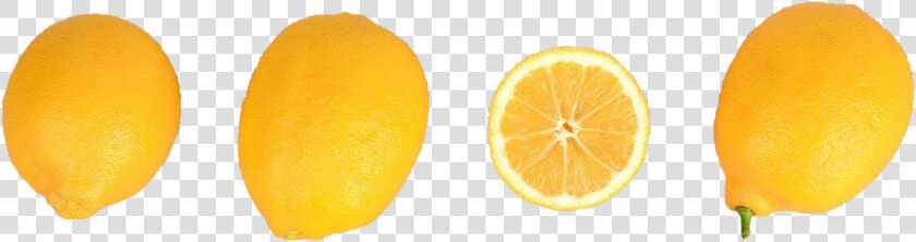 Half Lemon Png Free Background   Sweet Lemon  Transparent PngTransparent PNG