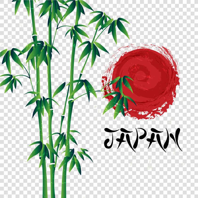 Bamboo Vector Illustrator   Bamboo  HD Png DownloadTransparent PNG