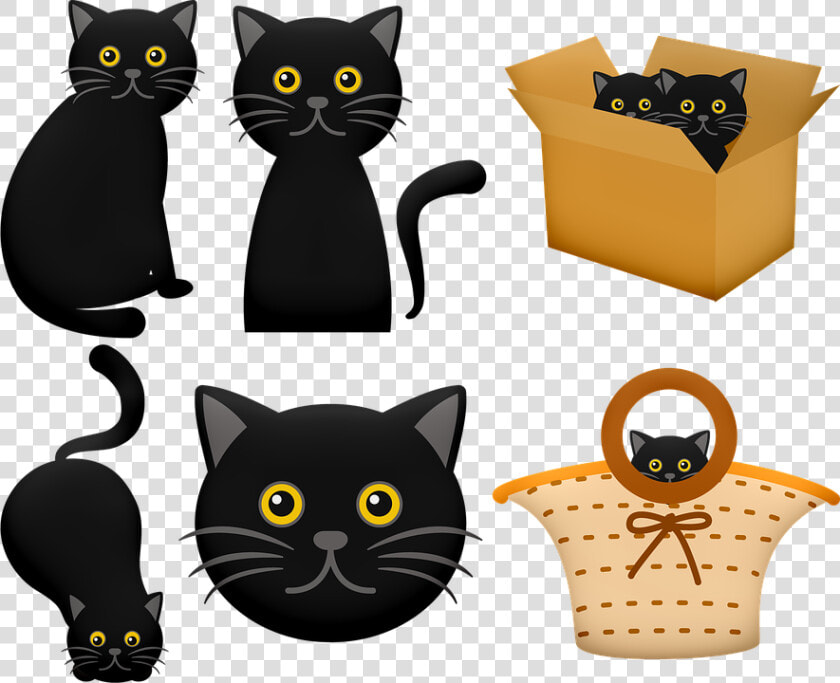 Halloween Black Cat  Cat In Box  Black Cat   Black Cat In Box Clipart  HD Png DownloadTransparent PNG