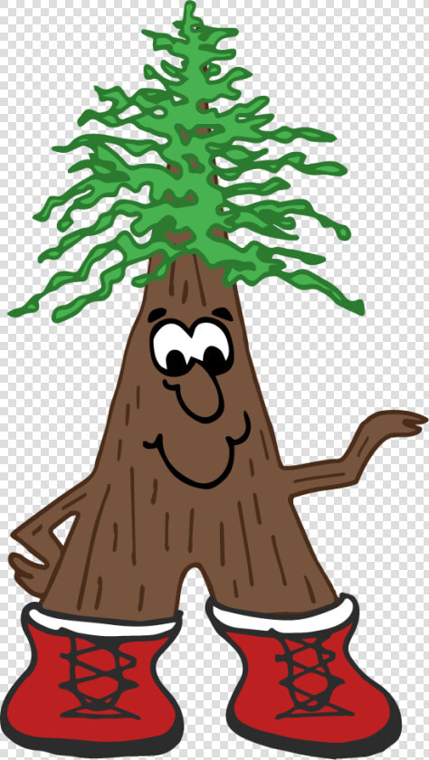 Cartoon Redwood Tree  HD Png DownloadTransparent PNG