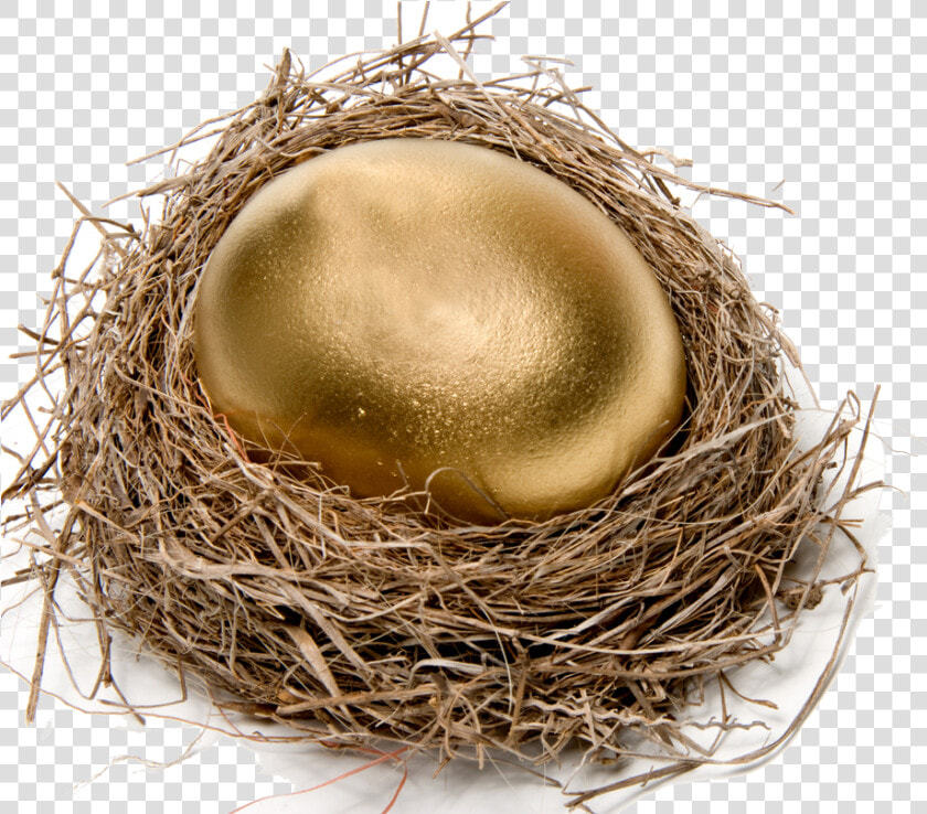 Transparent Birds Nest Clipart   Golden Egg In Nest  HD Png DownloadTransparent PNG