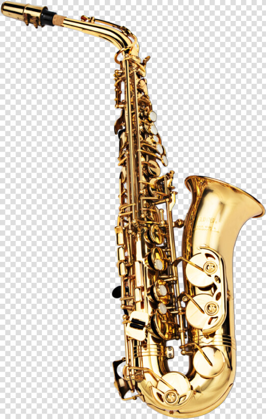 Trumpet Png Free Download   Trumpet Png  Transparent PngTransparent PNG