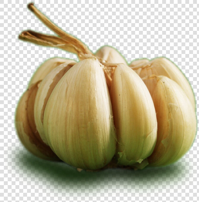 Ontos Garlic   Garlic   Garlic  HD Png DownloadTransparent PNG