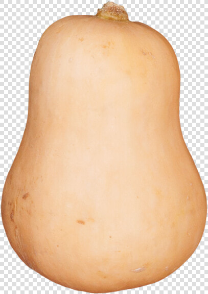 Thumb Image   Butternut Squash Png  Transparent PngTransparent PNG