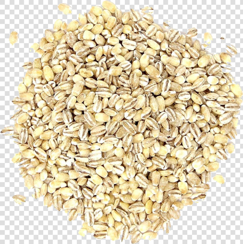 Barley Grain Png Pic   Hulled Barley  Transparent PngTransparent PNG