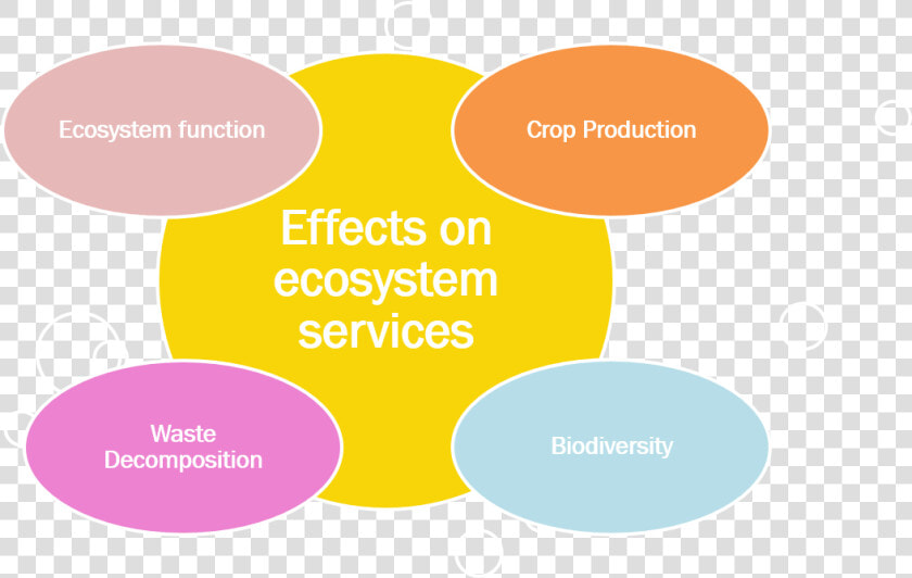 Wp4   Effects Of Ecosystem Services  HD Png DownloadTransparent PNG