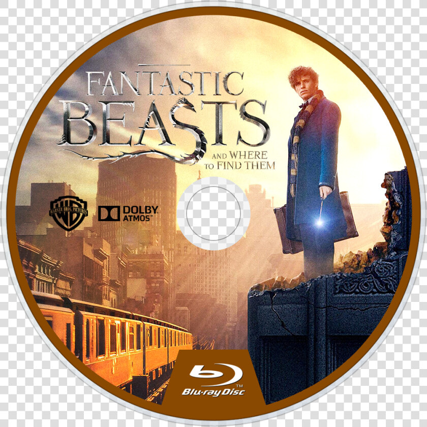 Image Id     Fantastic Beast And Where To Find Them Bluray Disc  HD Png DownloadTransparent PNG