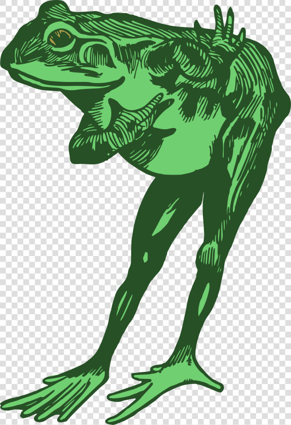 Green Frog Clipart Bull Frog   Frog Bowing Clipart  HD Png DownloadTransparent PNG