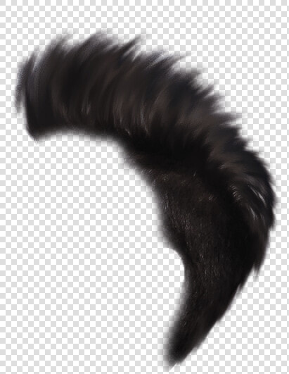 Heartless Editing Png   Millipedes  Transparent PngTransparent PNG