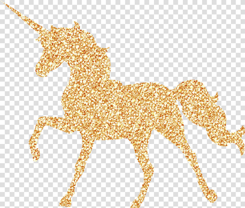 Unicorn Unicorns Glitter Glittery Fantasy Gold Golden   Glitter Rainbow Unicorn  HD Png DownloadTransparent PNG