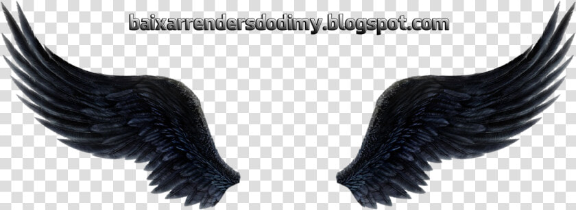 Render Asas De Anjo   Asas De Anjo Preta Png  Transparent PngTransparent PNG