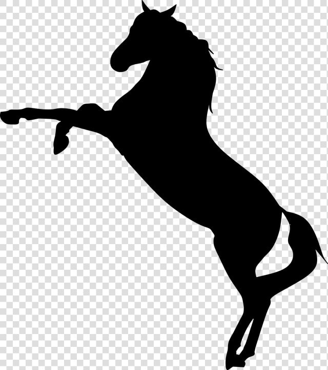 Horse  Wild  Mustang  Rearing  Racer  Silhouette   Mustang Horse Silhouette Png  Transparent PngTransparent PNG