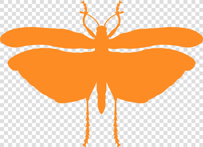 Locust Silhouette  HD Png DownloadTransparent PNG