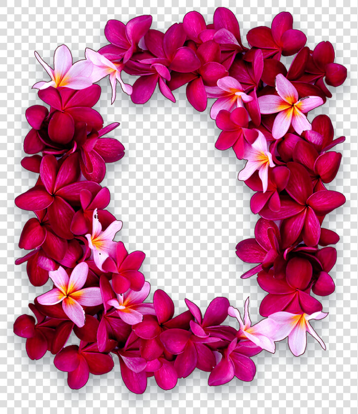 Hawaiian Leis Flower Png  Transparent PngTransparent PNG