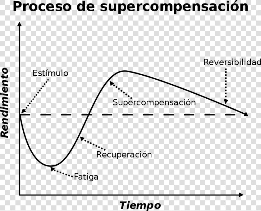 Principios Fundamentales Del Entrenamiento Deportivo  HD Png DownloadTransparent PNG