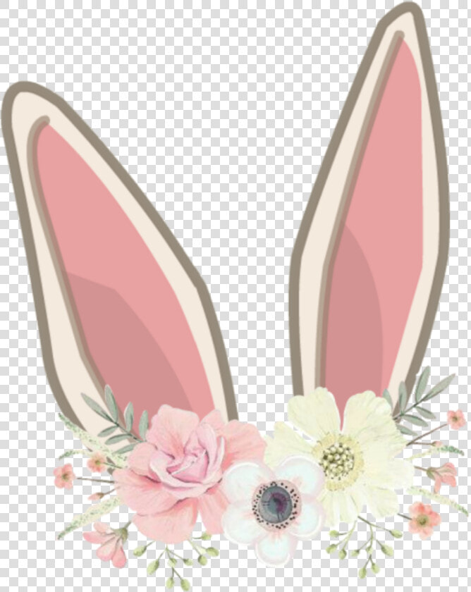  orelhasdecoelho  orelhas  coelhinho  coelhinha  coelho   Rabbit Ears Clip Art  HD Png DownloadTransparent PNG