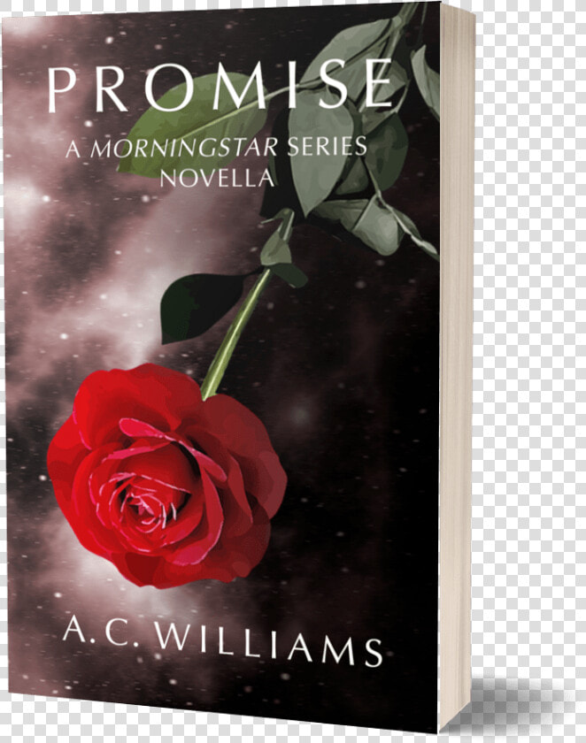 Promise Cover Book Soft   Garden Roses  HD Png DownloadTransparent PNG