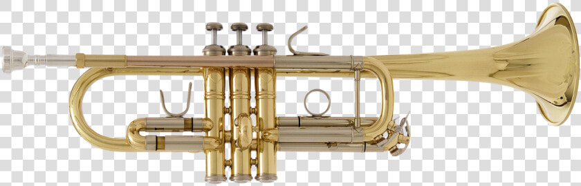 Transparent Trumpets Png   Trumpet  Png DownloadTransparent PNG