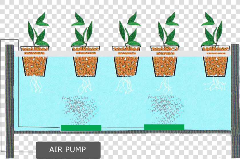 Hydroponics With Air Pump   Png Download   Hydroponic System  Transparent PngTransparent PNG