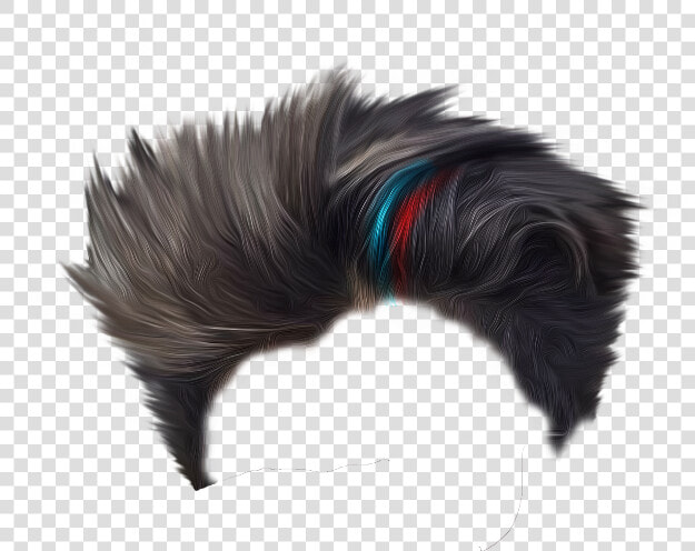  hair  hairstyles  hairstyle  style  freetoedit   Hooded Skunk  HD Png DownloadTransparent PNG