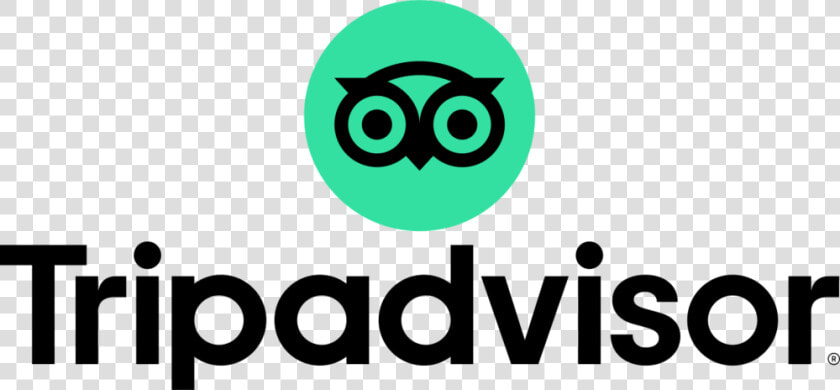 1200px Tripadvisor Logo Circle Green Vertical Lockup   Tripadvisor Logo  HD Png DownloadTransparent PNG