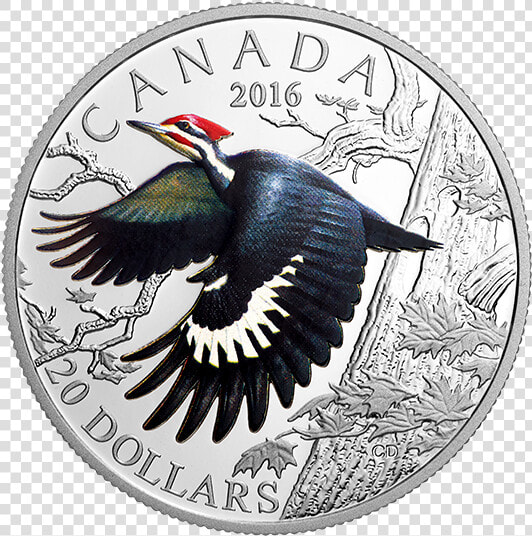 Pileated Woodpecker Coin  HD Png DownloadTransparent PNG