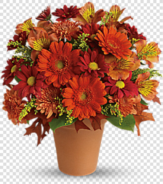 Golden Glow Tf   Golden Glow Teleflora  HD Png DownloadTransparent PNG