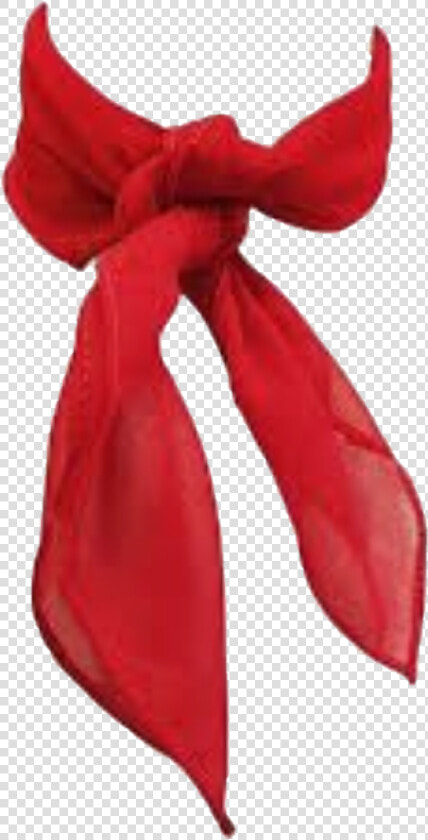  red  filler  redaesthetic  redfiller  png   French Red Neck Scarf  Transparent PngTransparent PNG