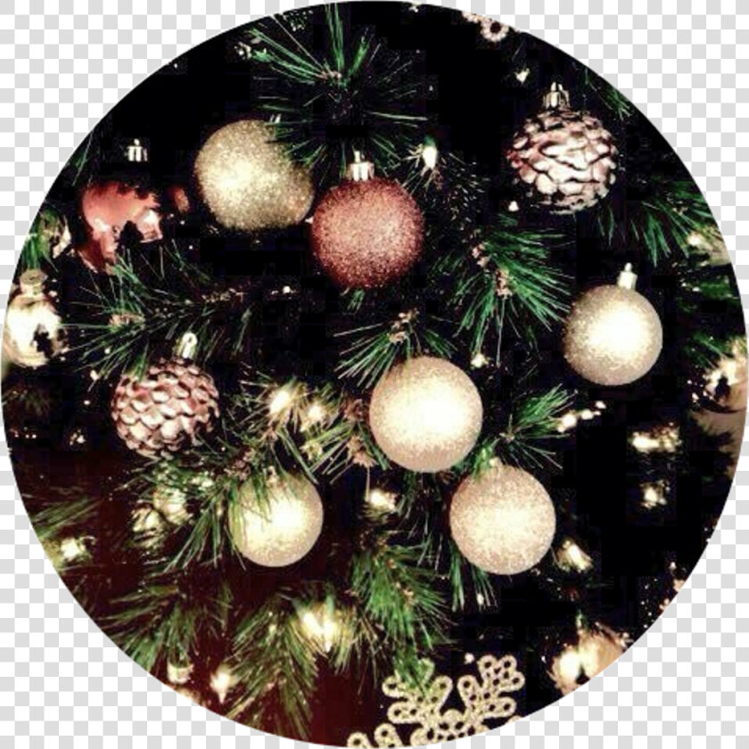 Aesthetic Background Christmas Tree Trees Light Lights   Aesthetically Pleasing Christmas Backgrounds  HD Png DownloadTransparent PNG